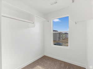 Spacious closet featuring visible vents and carpet