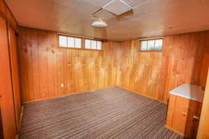 Basement featuring carpet flooring and wood walls