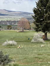 Surrounding community featuring a lawn and a mountain view