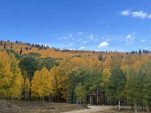 View of mountain feature featuring a forest view