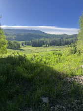 Mountain view with a wooded view