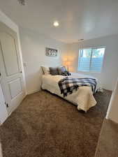 Bedroom with walk in closet in basement