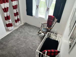 bedroom in basement