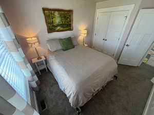 Bedroom with carpet, visible vents, and a closet