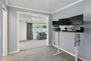 Interior space with crown molding, baseboards, visible vents, and carpet