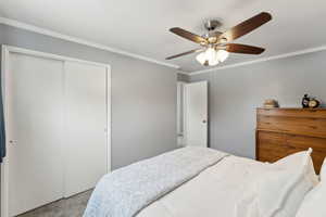Carpeted bedroom featuring a closet, ornamental molding, and a ceiling fan