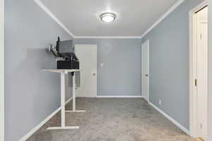 Interior space featuring crown molding, baseboards, and carpet flooring