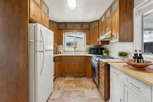 Kitchen featuring freestanding refrigerator, stainless steel range with electric stovetop, black microwave, under cabinet range hood, and a sink