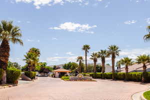 Resort entrance with cobble street and mature palm trees.