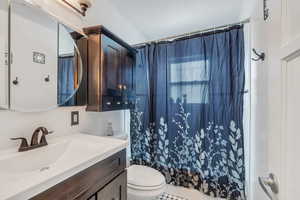 Full bathroom featuring vanity, toilet, and a shower with curtain