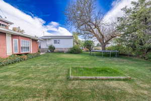 View of yard with a trampoline