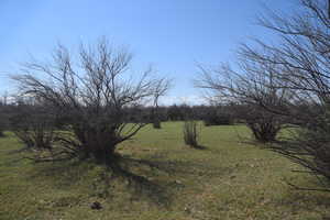 View of nature