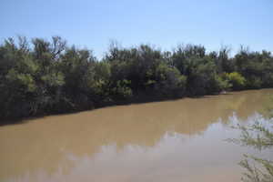 View of water feature featuring a wooded view
