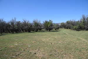 View of yard with a rural view