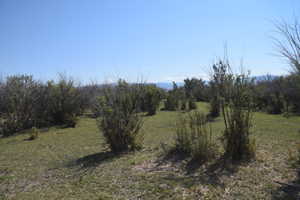 View of landscape