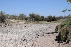 View of nature with a rural view