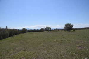 View of local wilderness with a rural view