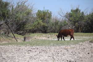 Exterior space with a rural view