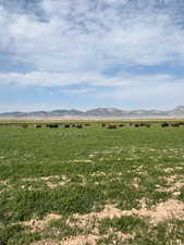Property view of mountains featuring a rural view