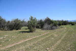 View of road with a rural view