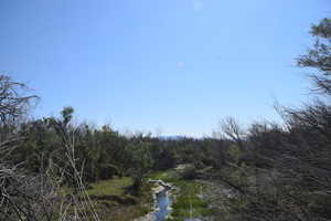 Property view of water with a view of trees