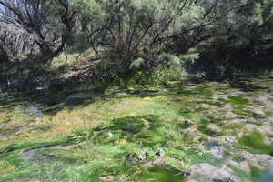 View of landscape