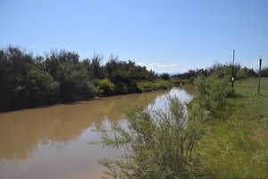 Property view of water featuring a view of trees