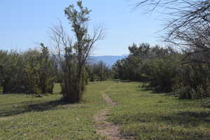 Exterior space with a mountain view and a wooded view