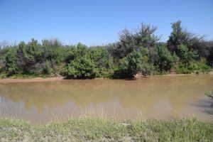 View of water feature