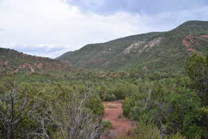 Property view of mountains featuring a view of trees