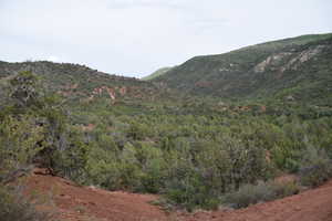 View of mountain feature with a view of trees