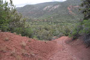 View of mountain feature featuring a view of trees