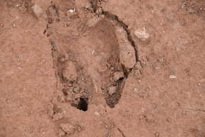 View of details