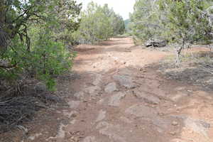 View of nature