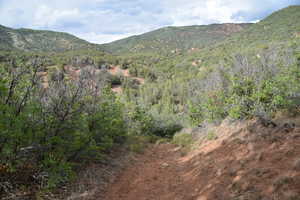 Mountain view featuring a forest view
