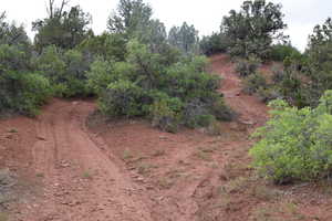 View of nature