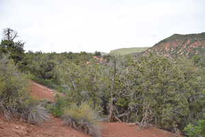 View of mountain feature with a view of trees