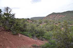 Property view of mountains featuring a forest view
