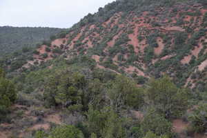 Property view of mountains featuring a view of trees