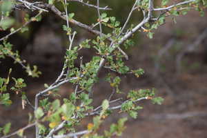 View of details
