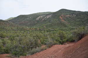 View of mountain feature featuring a view of trees