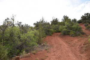 View of nature