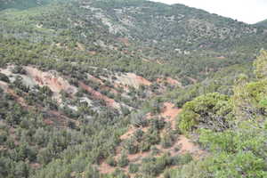 View of mountain feature featuring a forest view