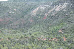 Exterior space with a forest view and a mountain view