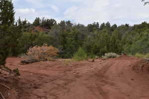 View of local wilderness