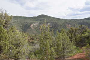 Property view of mountains featuring a forest view