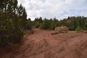 View of local wilderness