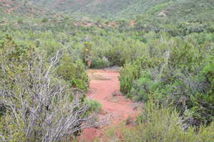 View of local wilderness with a forest view and a mountain view
