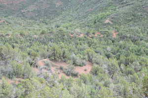 Bird's eye view featuring a view of trees