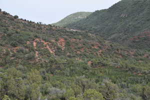 View of mountain feature with a view of trees